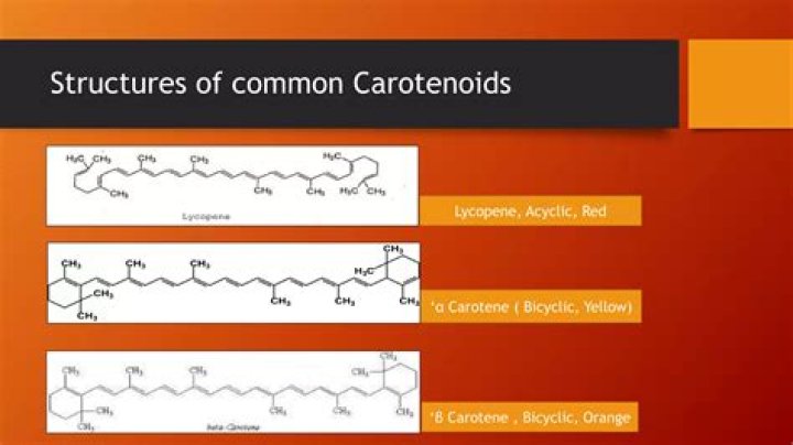 What are carotenoids and what is their function?