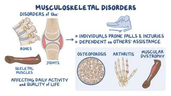 What are common disorders of the legs?