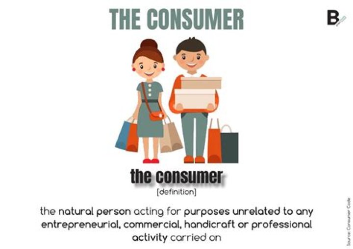 What are consumers in economics?