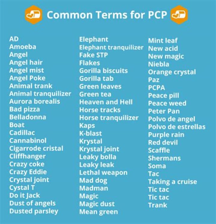 What are cookies in drug slang?