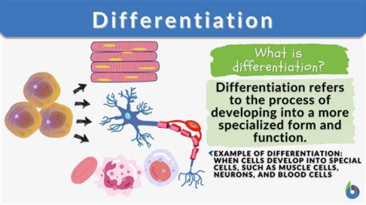 What are core differentiators?
