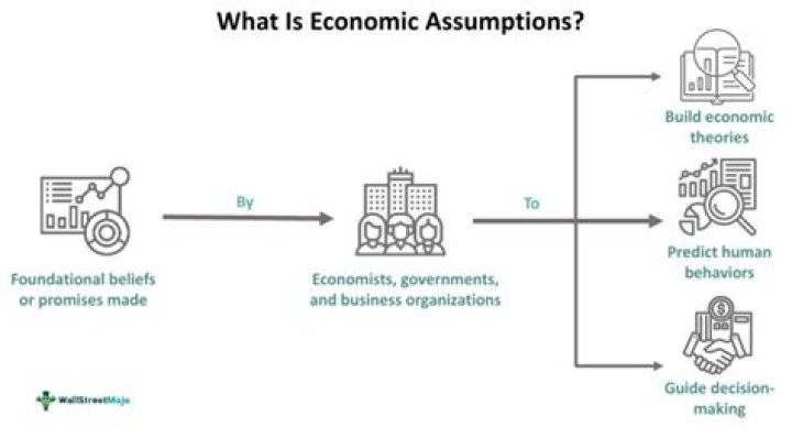 What are economic assumptions?