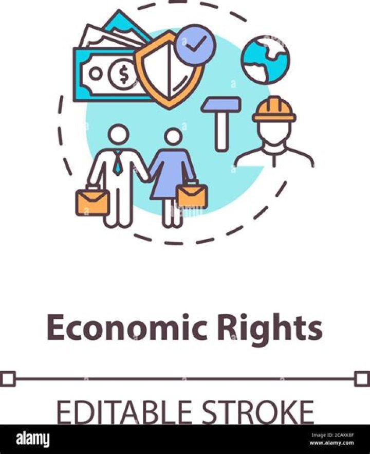 What are economic rights and freedoms?