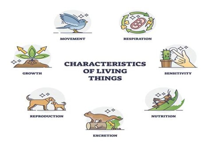 What are five characteristics of the West?