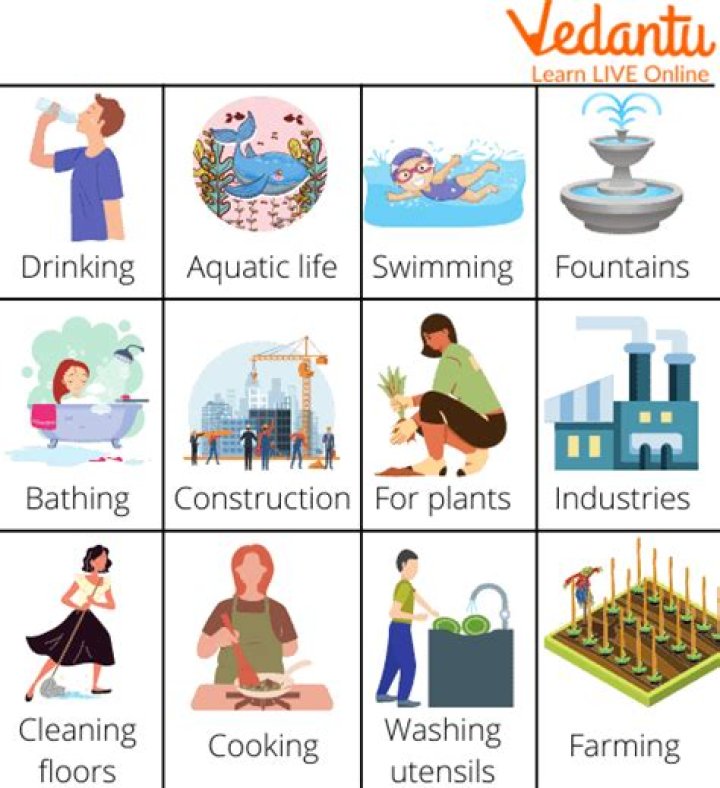 What are five uses of water?