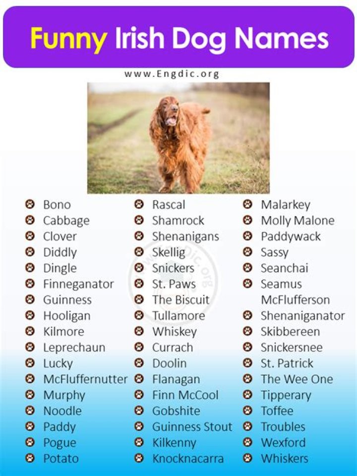 What are good Irish names for dogs?