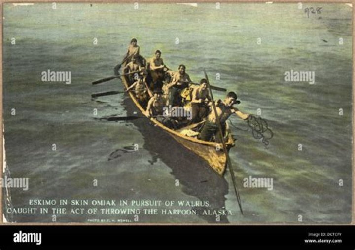 What are harpoon boat men?