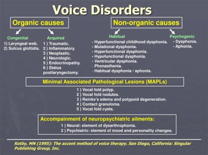 What are Hypofunctional voice disorders?