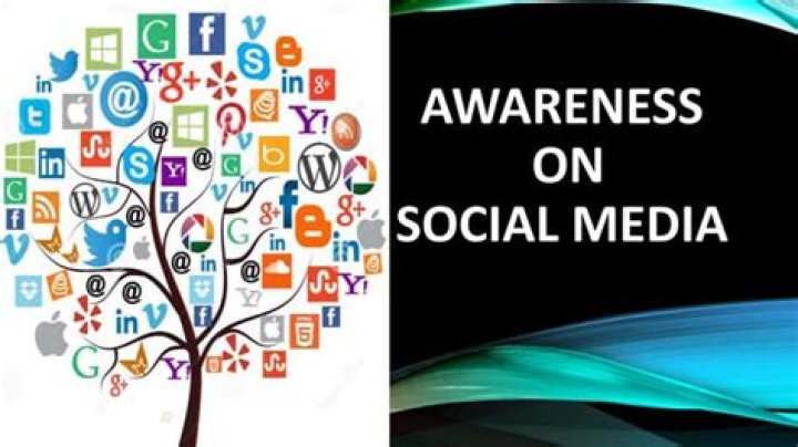 What are media awareness?