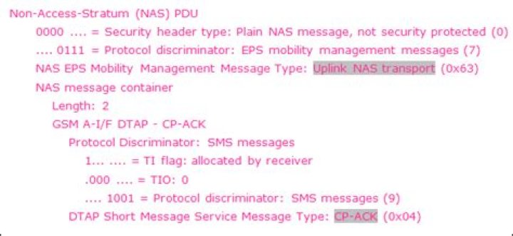 What are NAS messages?