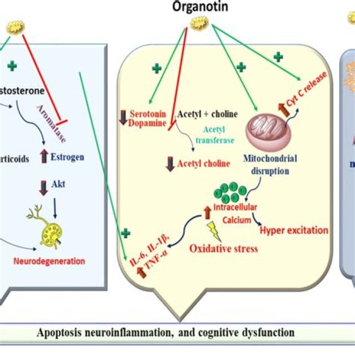 What are organotins used for?
