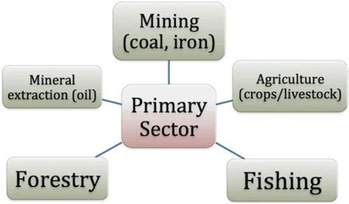 What are primary industry jobs?