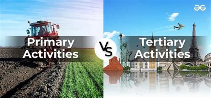 What are primary secondary and tertiary activities with example?