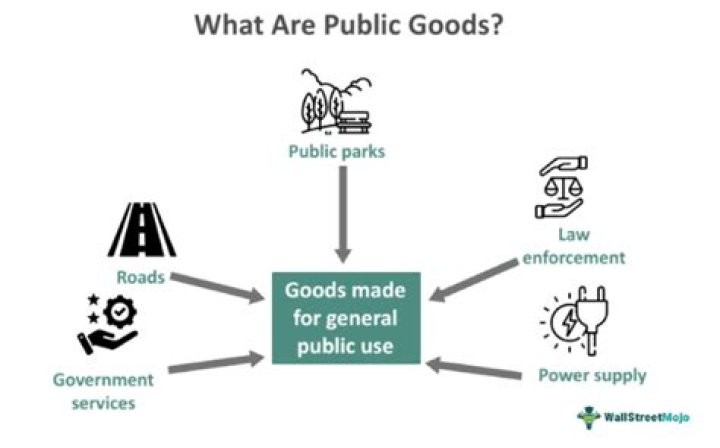 What are public goods in the US?