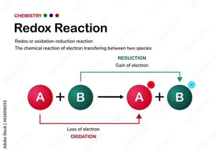 What are redox reactions?
