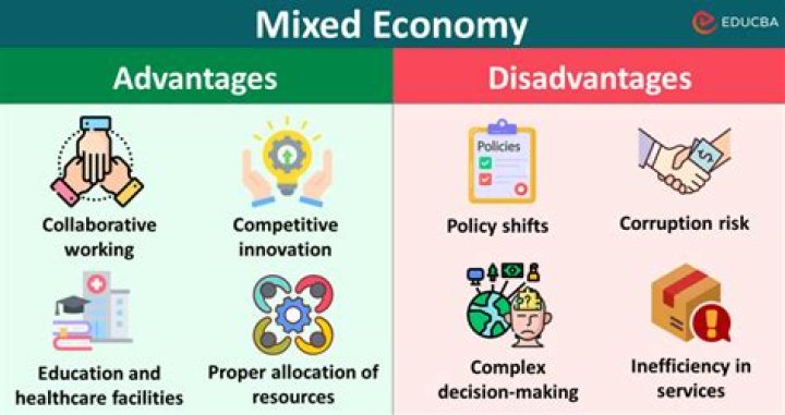 What are some advantages and disadvantages of a mixed economy?