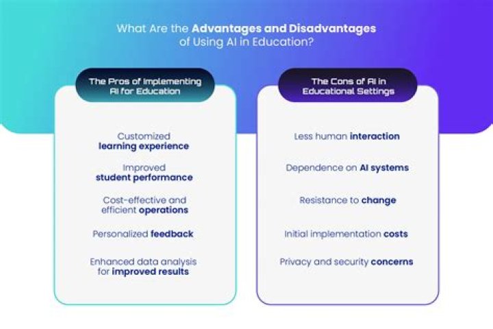 What are some advantages and disadvantages of government involvement?