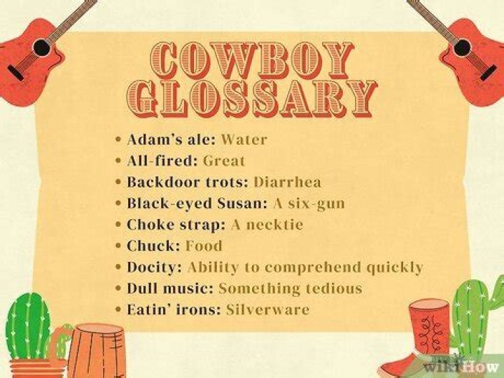 What are some cowboy terms?