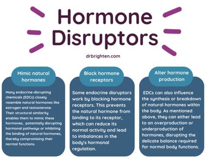 What are some examples of endocrine disruptors?