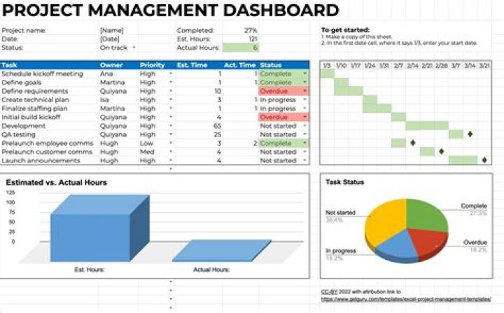 What are some examples of project management projects?