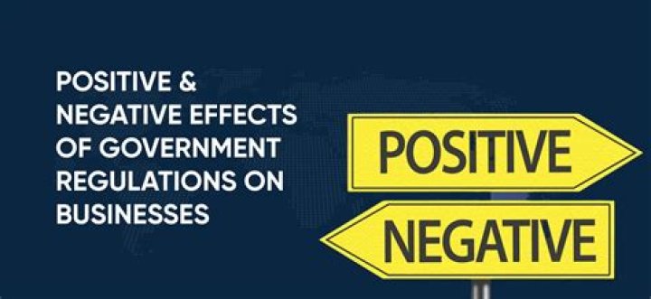 What are some positive and negative effects of government regulation of business?