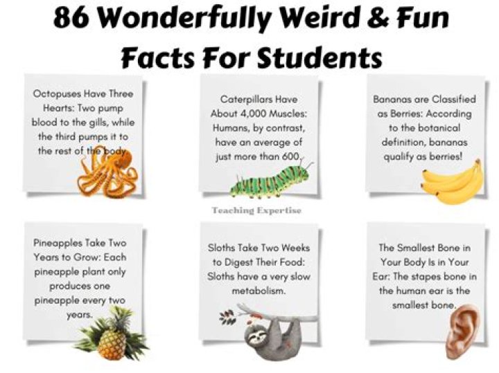 What are some weird facts about life?