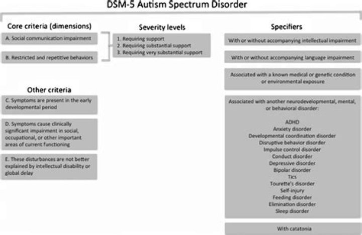 What are specifiers in DSM-5?
