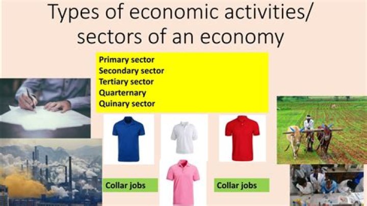 What are the 3 main types of economic activities explain with examples?