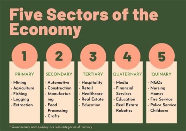 What are the 3 phases of the economy?