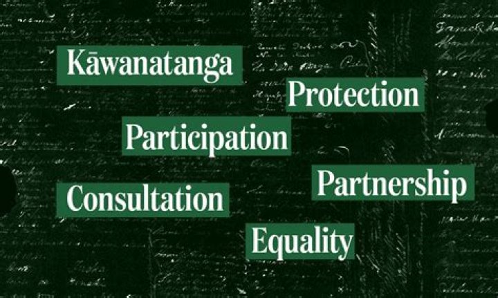 What are the 3 principles of the Treaty of Waitangi in healthcare?