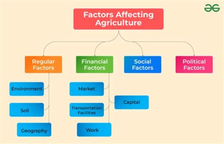 What are the 4 factors affecting the economy?