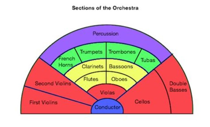 What are the 4 main sections of the symphony orchestra?
