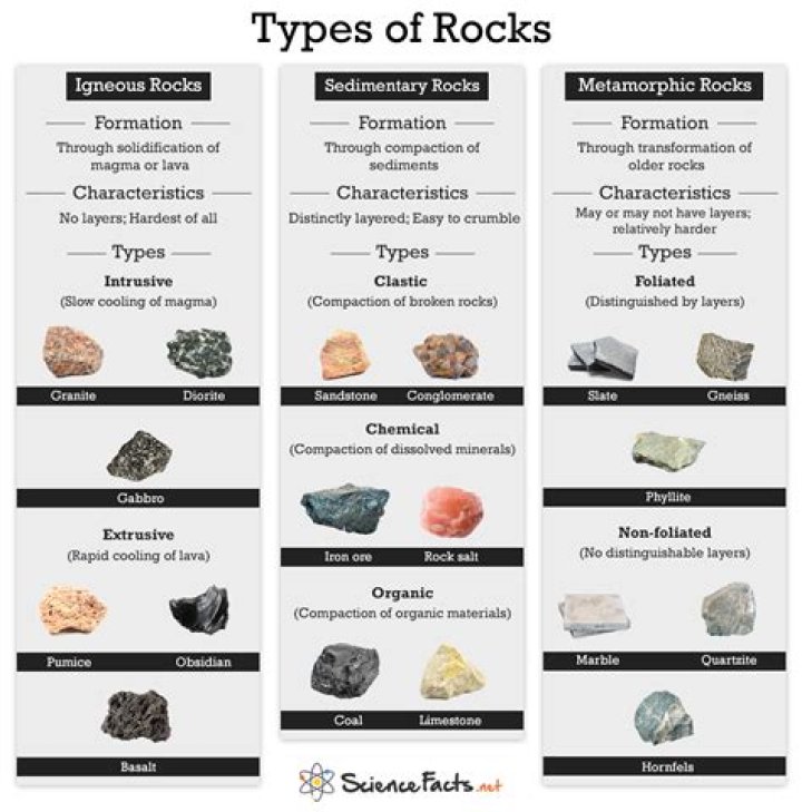 What are the 4 main types of sedimentary rocks?