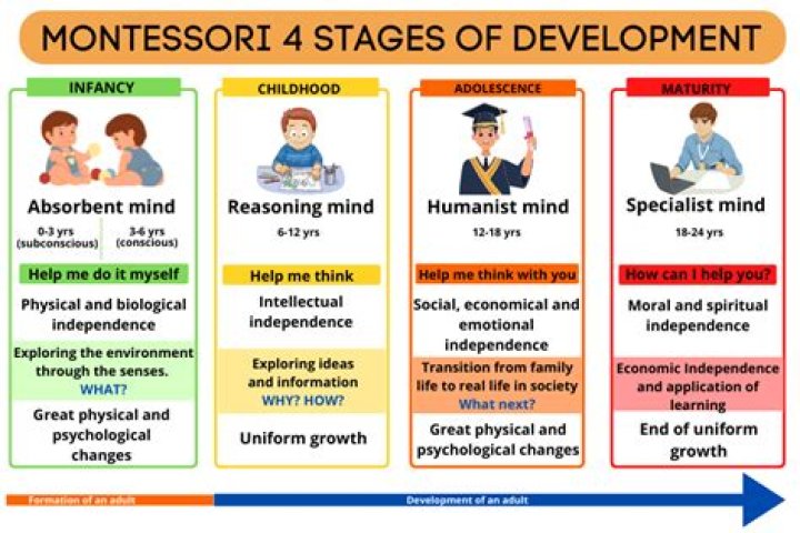 What are the 4 planes of development in Montessori?