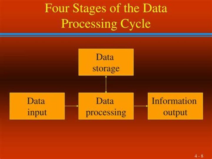 What are the 4 stages of data processing?