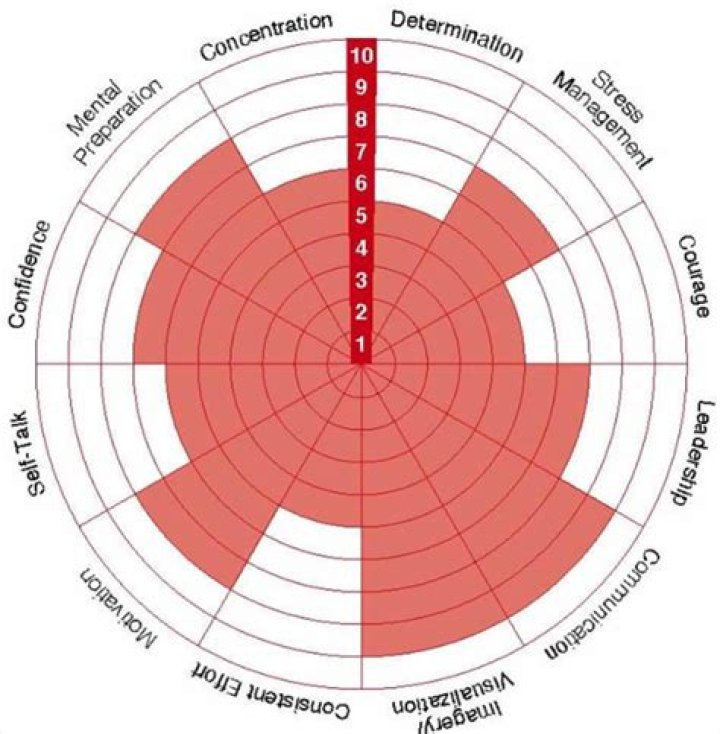 What are the 6 stages of the profiling process?