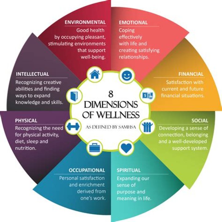 What are the 7 dimension of wellness?