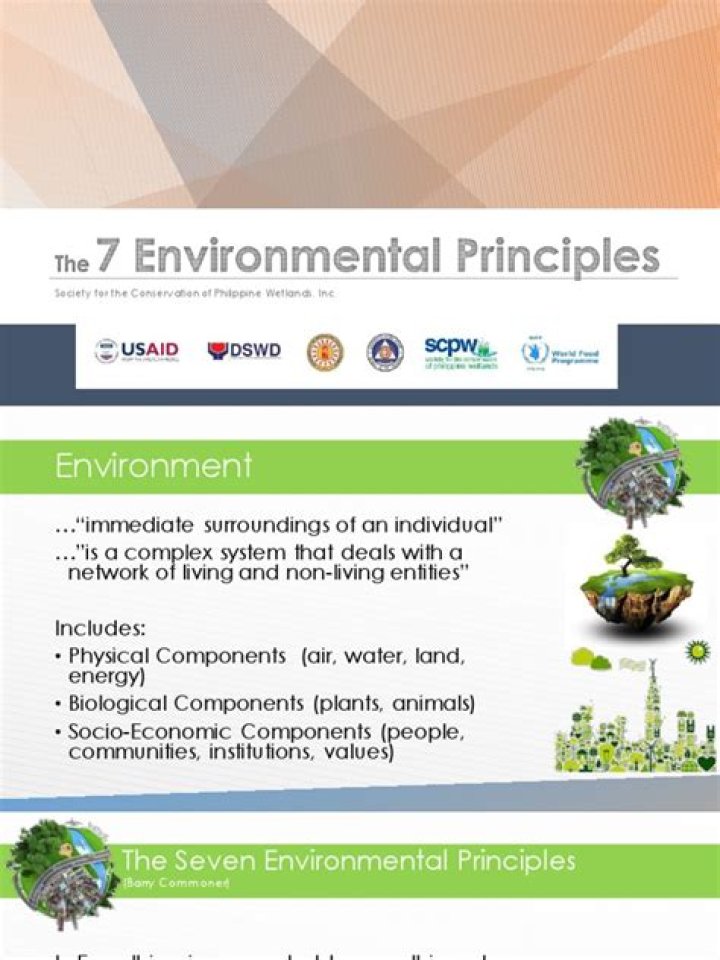 What are the 7 environmental principles and explain each?