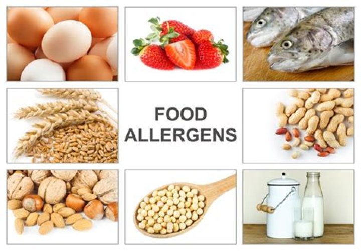 What are the 8 most common ingredients that triggers the food allergies?