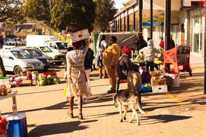 What are the advantages of the informal sector in South Africa?