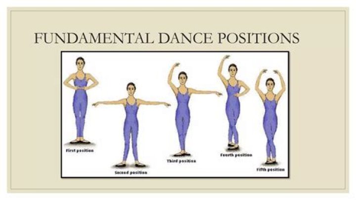 What are the basic dance terms?