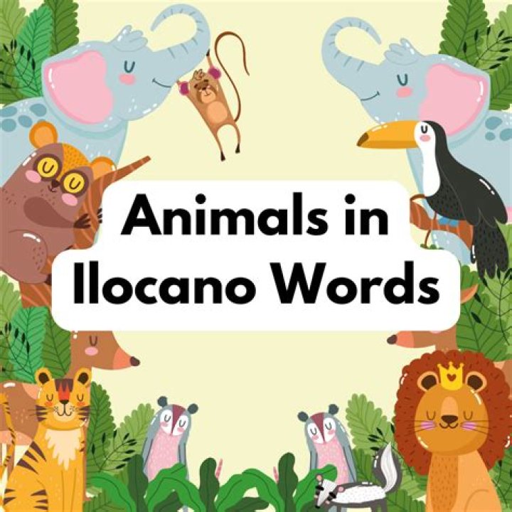 What are the basic Ilocano words?