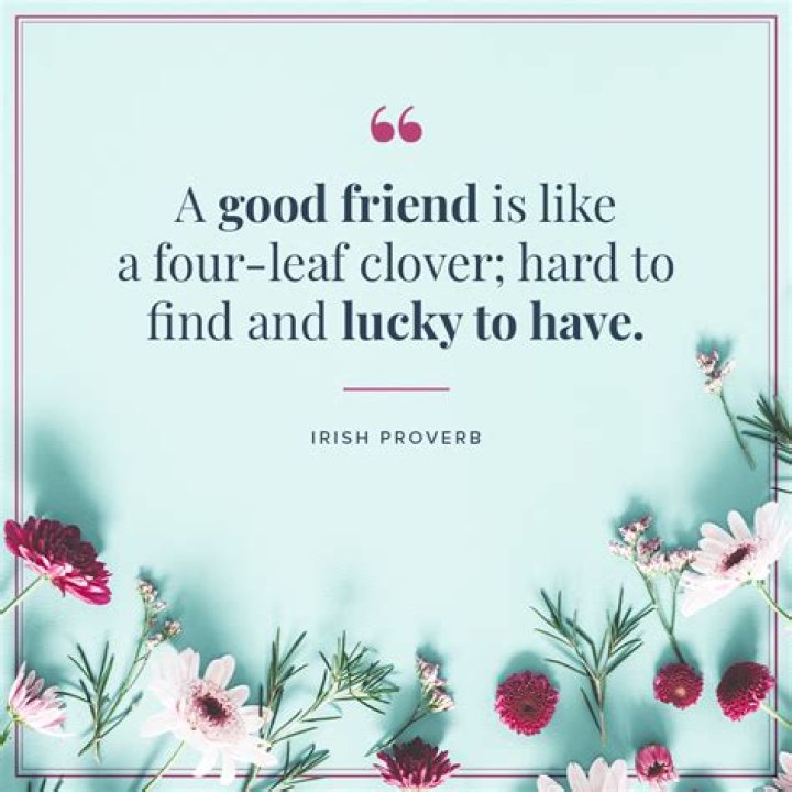 What are the best quotes on friendship?