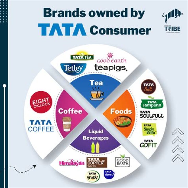 What are the brands under Tata Consumer Products?