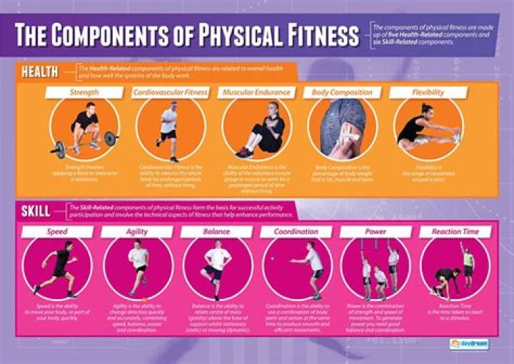 What are the components of physical education?