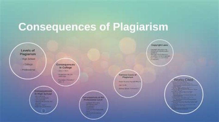 What are the consequences of plagiarism?