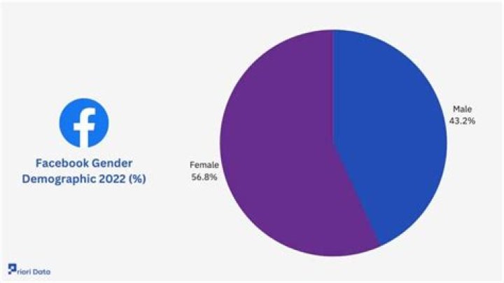 What are the demographics of Facebook users?