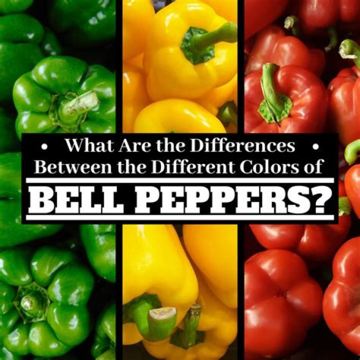 What are the differences between bell peppers?