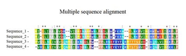 What are the different methods of sequence alignment?