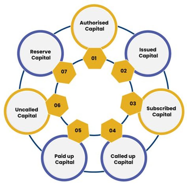 What are the different types of share capital?